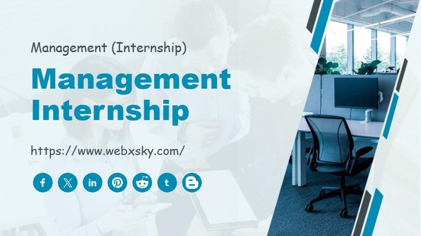 Management Internship