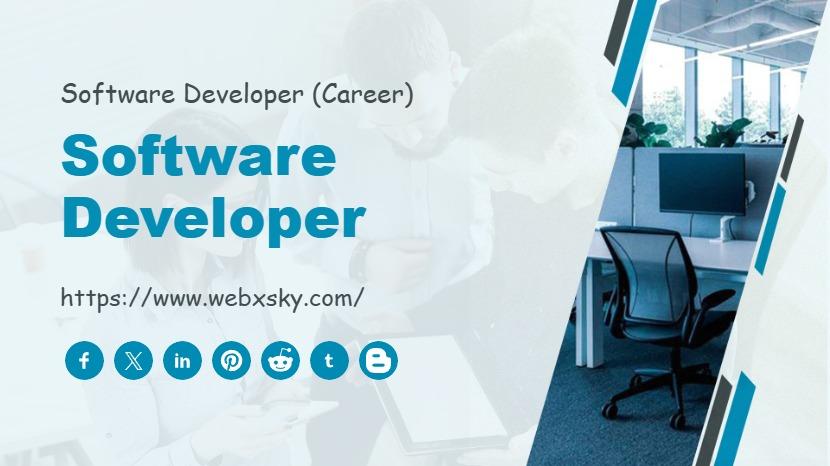 Software Developer