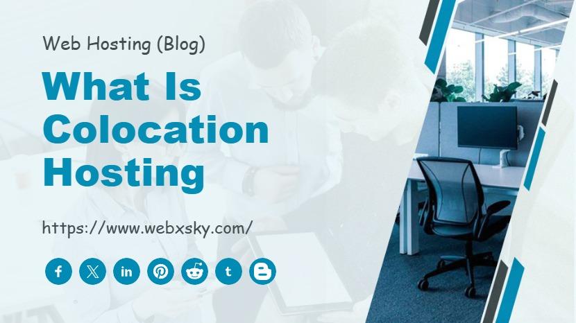 What is Colocation Hosting